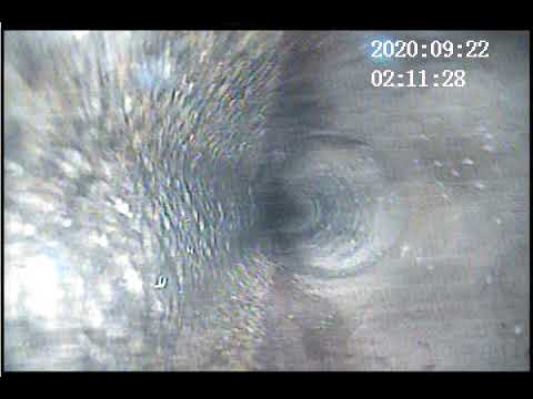 Wissemann SL Scope  9 21 2020       3933 SW Holden St Sea Wa