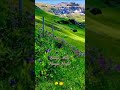 Kurukku Siruthavale Whatsapp Status Song Cover Tamil Tamilsong Tamilcoversong