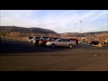 Seagulls Invade The Local Mall Parking Lot