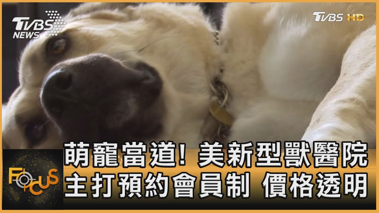 萌寵當道!美新型獸醫院主打預約會員制 價格透明