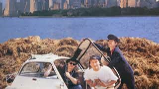 Bayernpower - Ein Bayer in New York (Funky Cold Medina)