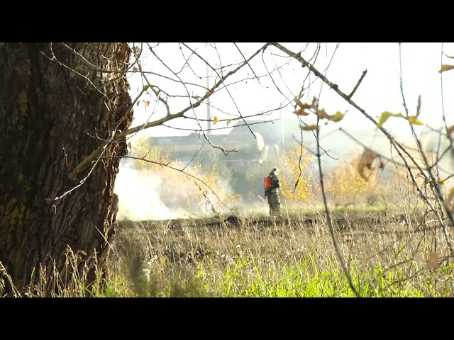 В Ангарском округе проходят профилактические мероприятия по отжигу травы