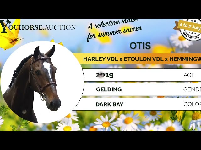 Otis showvideo
