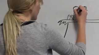 Audiostrobelight-&quot;Last Summer:&quot; Illustrated