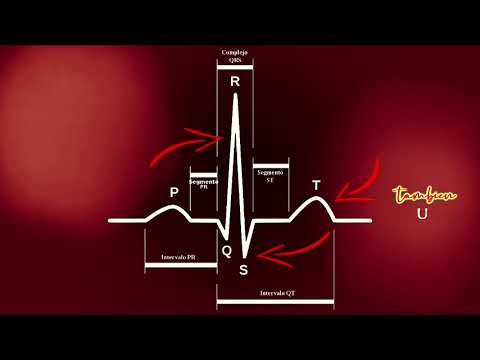 Los Mitocondrios - Electrocardiograma (ECG)
