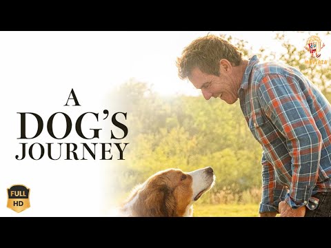 Moviaza and DogLovers Paradise