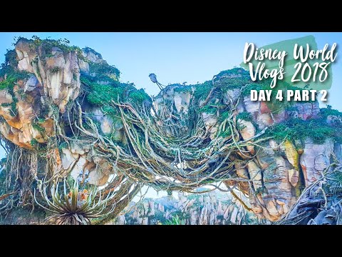 I HATE FLIGHT OF PASSAGE | DAY 4 PART 2 | DISNEY WORLD VLOGS 2018