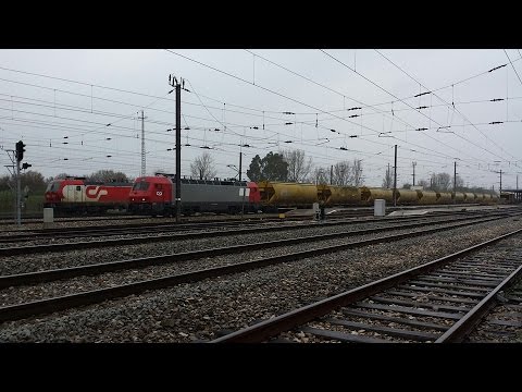 "Ramalhal" em Alfarelos