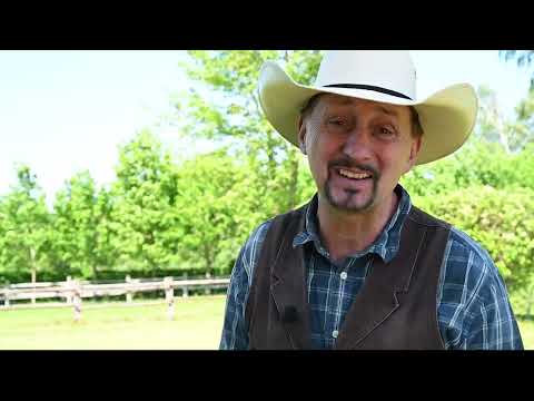 Die besten Tipps um Klee im Rasen wirklich effektiv zu entfernen