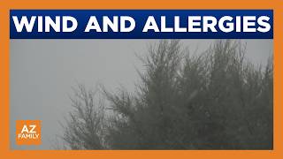 Windy weather this week could aggravate allergies in Arizona