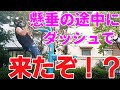 【筋トレ集中できない】懸垂テストの最中に彼が・・・