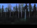 Живые звуки, стук колес поезда/Train wheels sound 