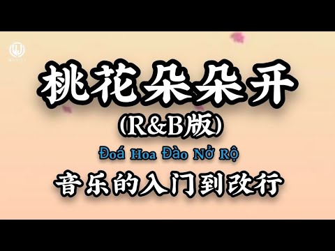 桃花朵朵开 (R&B版) - 音乐的入门到改行 || Đo&aacute; Hoa Đ&agrave;o Nở Rộn (Bản RnB) (Lyrics 2026)