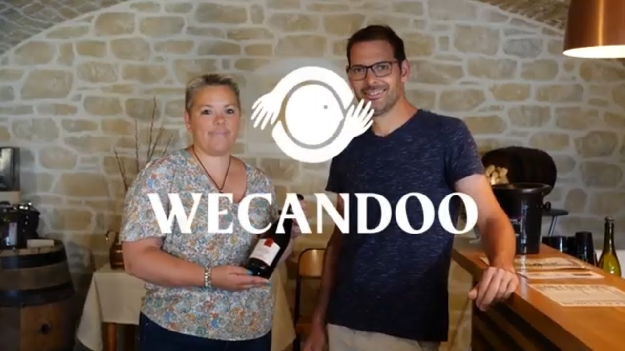 Visitez un vignoble du Beaujolais et dégustez le vin produit sur place - Vidéo