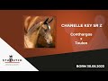 Chanelle Key SR Z