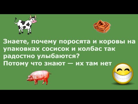 Вчера ехала в автобусе с метлой после субботника, парень долго смотрел на меня, а потом... Выпуск 17