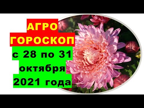 , title : 'Агрогороскоп с 28 по 31 октября 2021 года'