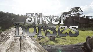 Silver Horses: Strawbs and Sandy Denny (cover) - Sail Away To The Sea