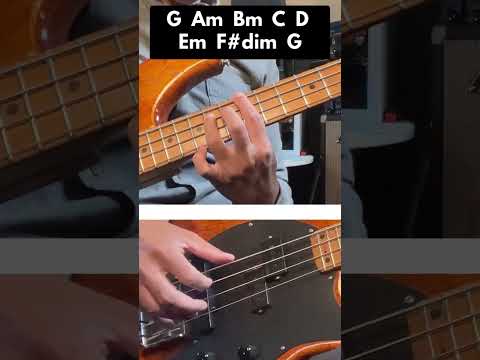 Bass Chords To Compose With