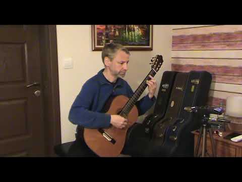 2020 Cordoba (Luthier Select Friederich) Classical Guitar image 15