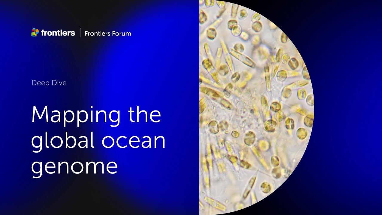Carlos Duarte and colleagues | Mapping the global ocean genome