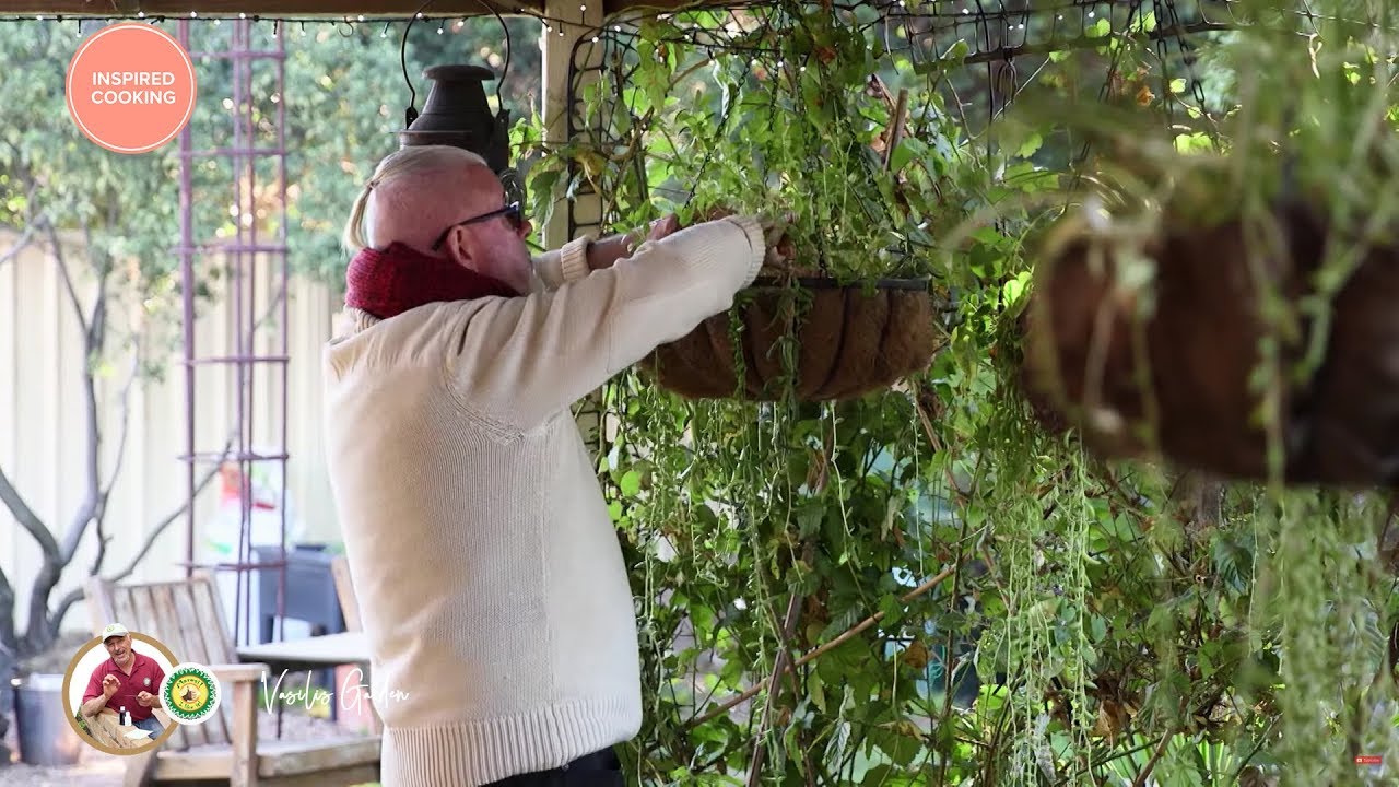 Vasilis Garden S3E23