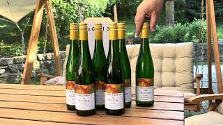 Mosel Riesling Schloss Koblenz Trocken 5 + 1