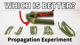 Which Node End Matters When Propagating?