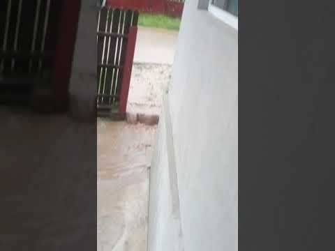 Primărița comunei Drajna de Sus.