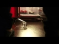 Djinn Trailer