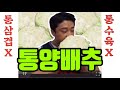 다이어트가 시급했던 그때그시절 | 통수육 통삼겹에 이은 통양배추 먹방 | 식욕 잠재우기 CABBAGE