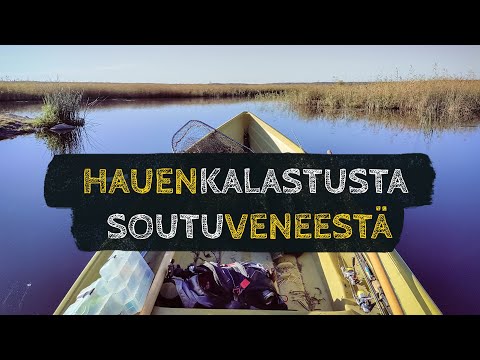 Hauenkalastusta, outoja löytöjä kalavesillä ja bassprofishing-fiilistelyjä |  Kalastus ja retkeily