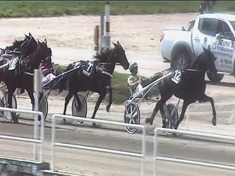 Trotto 15/06/2019 - 3ª corsa