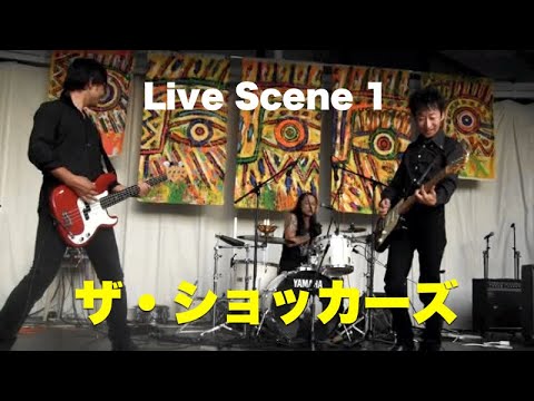 ザ・ショッカーズ ライブシーン 1 - 秋フェス2010 福井県大野市