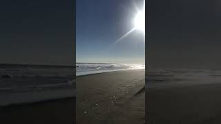 Playa colun, Valdivia, región de los ríos
