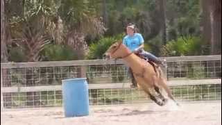 Working the Horses 4-23-12