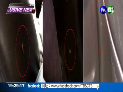 運將以車為家 "小強"出沒嚇乘客