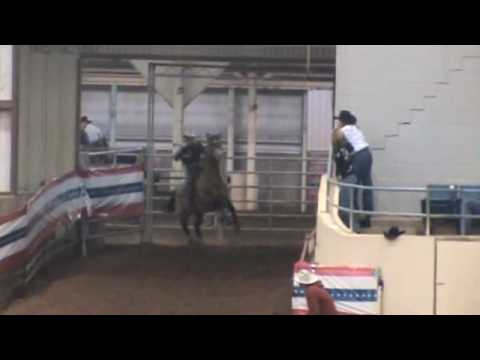 Hollie Etbauer & PC Frosty Bid ~ BBR Finals 2010