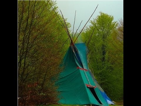 Subfactor #115 - Cinnamint 15.11.2015