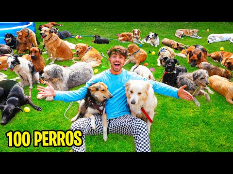 CONSTRUI UN PARQUE DE PERROS EN MI CASA!