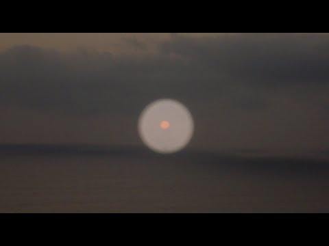 Ulu Roots - There is Only One