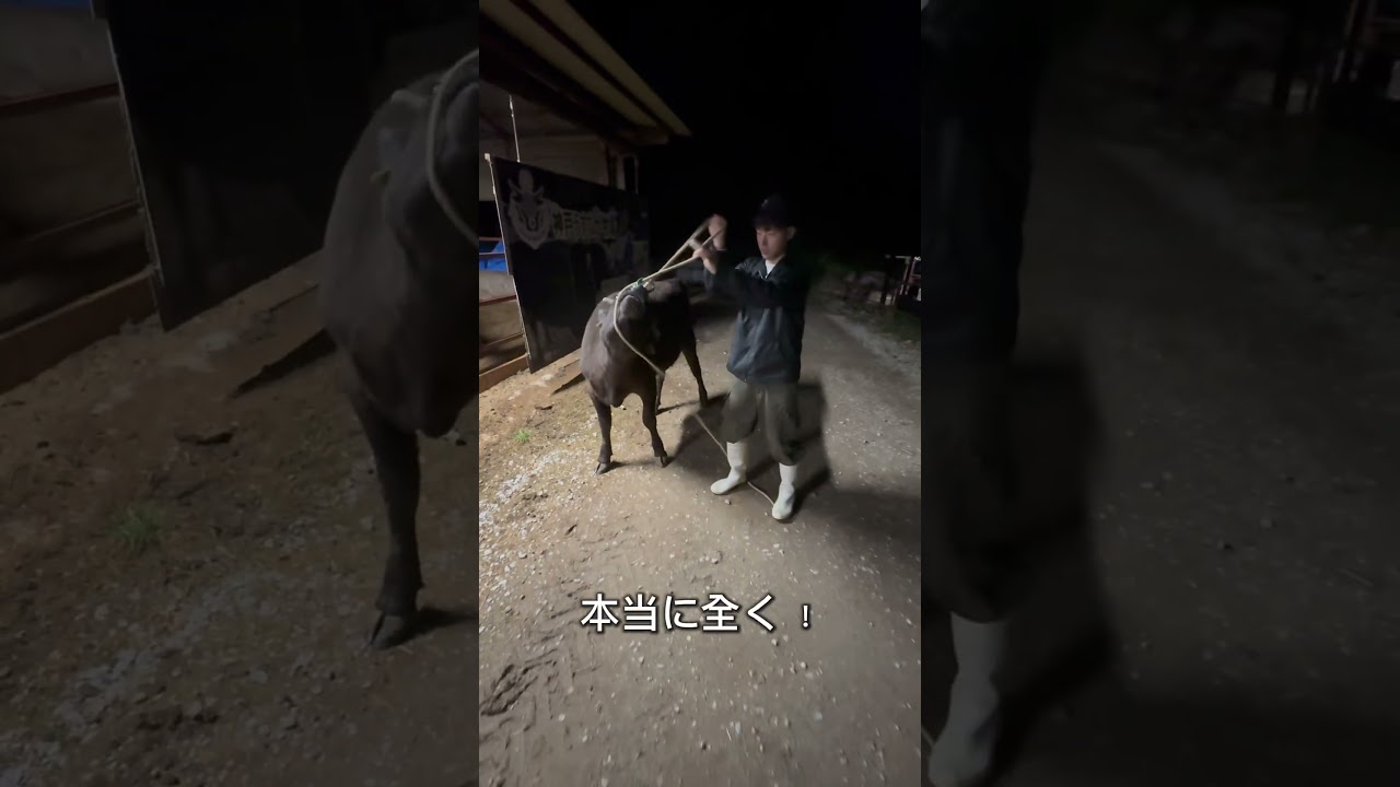 【トラブル勃発】真夜中0時の脱走劇、、