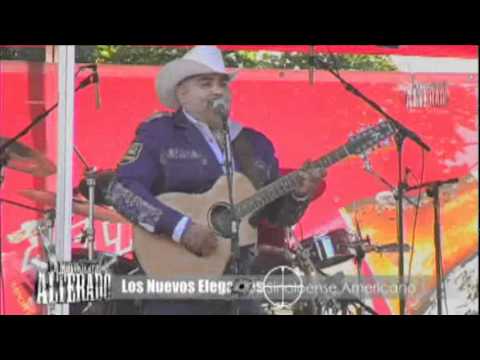 LOS NUEVOS ELEGANTES - SINALOENSE AMERICANO (EN VIVO)