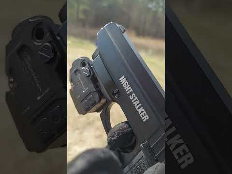 Crosman Nightstalker Blowback Air Pistol Unboxing \u0026 Review | Ronnie Sunshines