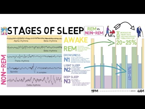 INSTANT NEURO - Stages of Sleep