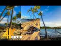 Vertical 4K Nature Film With Music The Beauty Of Big Island S Nature Hawaii