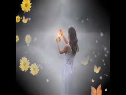 ( GİT )  MÜSADE SENİN / ZAKKUM & CEYLAN KÖSE