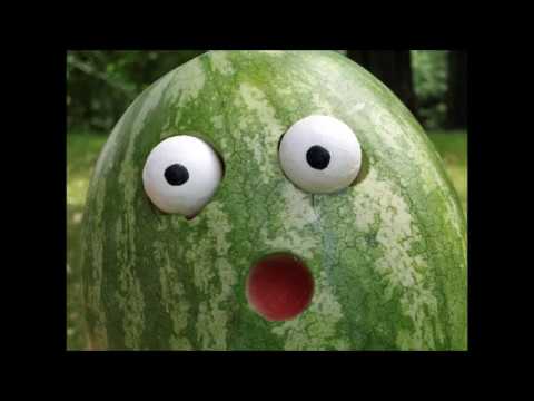 Ted Sommer - Watermelon Man (from the album Percussive Mariachi)