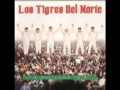 Quien te Quiere como Yo__Los Tigres del Norte Album Asi como Tu (Año 1997)
