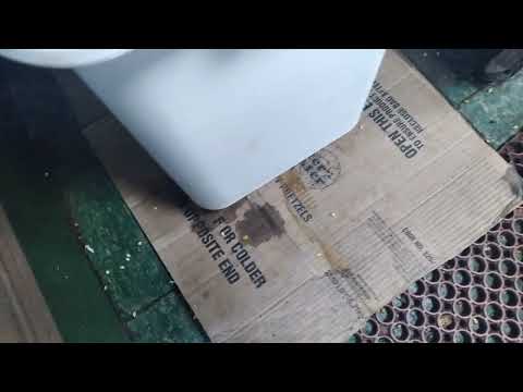 Why Proper Sanitation is Vital to Avoid Pest Problems in Your Business in Monmouth Junction, NJ